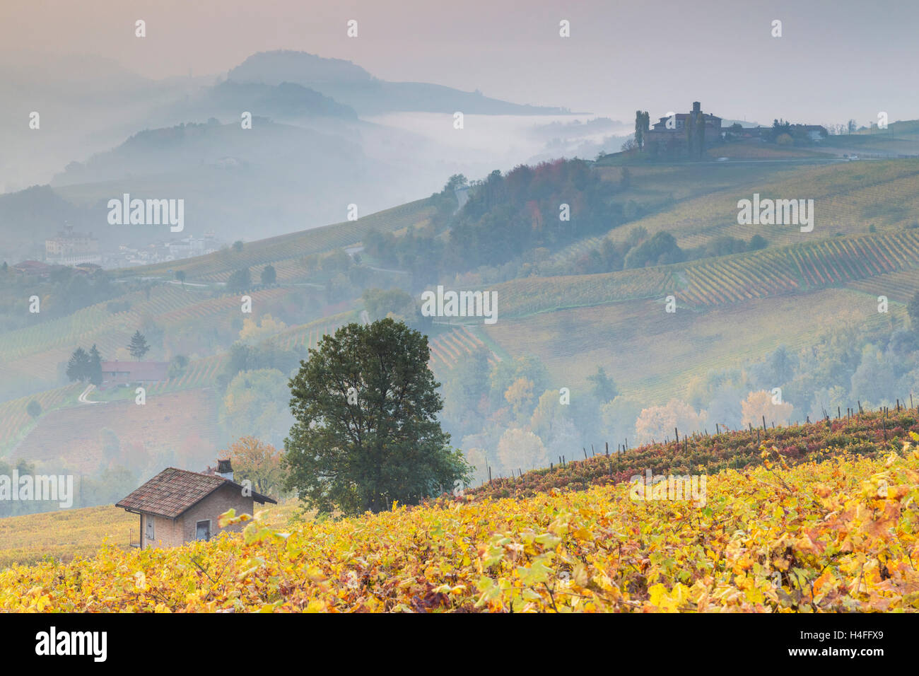 Bezirk Sonnenaufgang von La Morra in Richtung Barolo, Langhe, Cuneo, Piemont, Italien. Stockfoto