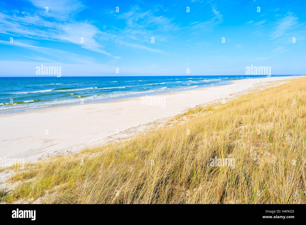 Ein Blick auf schöne Strandhafer auf Sanddüne an Ostsee, Bialogora Küstendorf, Polen Stockfoto