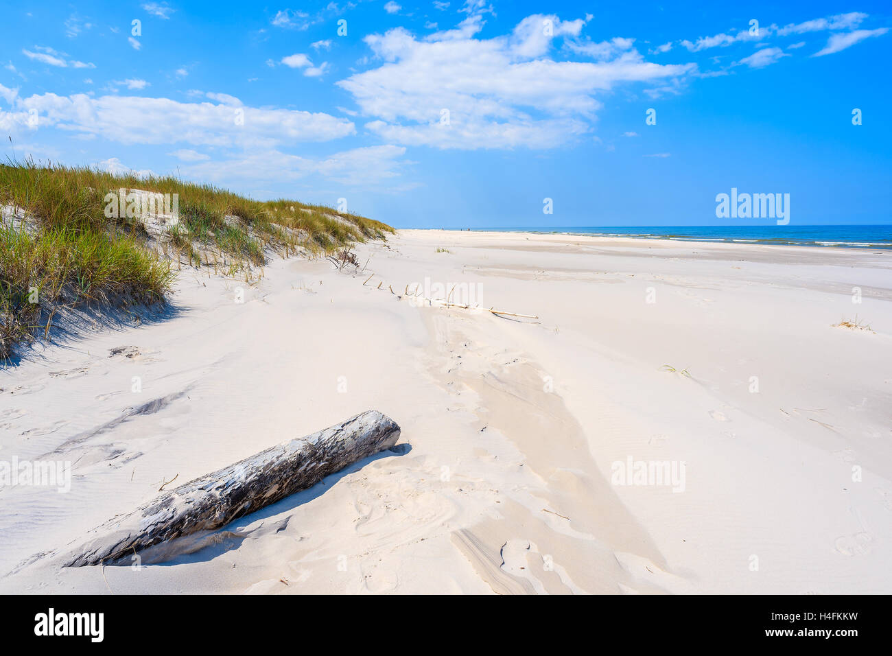 Trockenen Baumstamm auf Sanddüne und Strandblick in Lubiatowo Küstendorf, Ostsee, Polen Stockfoto