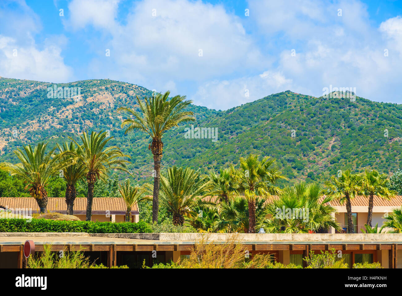 Palmen und Dächer der Ferienhäuser in Bergen der Insel Sardinien in der Nähe von Chia, Italien Stockfoto