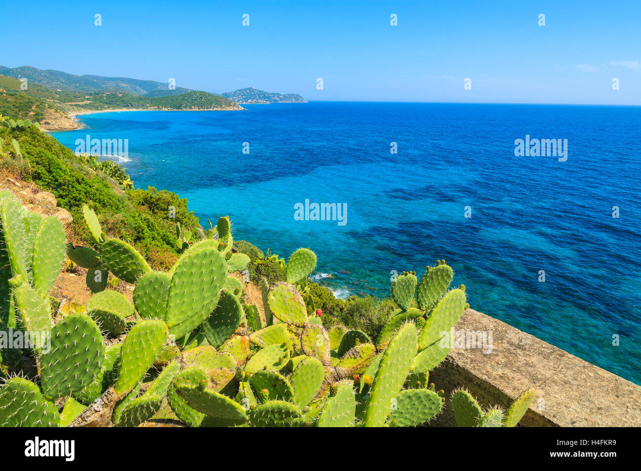 Kakteen auf Küste von Capo Boi und schöne azurblaue Meerwasser, Insel Sardinien, Italien Stockfoto