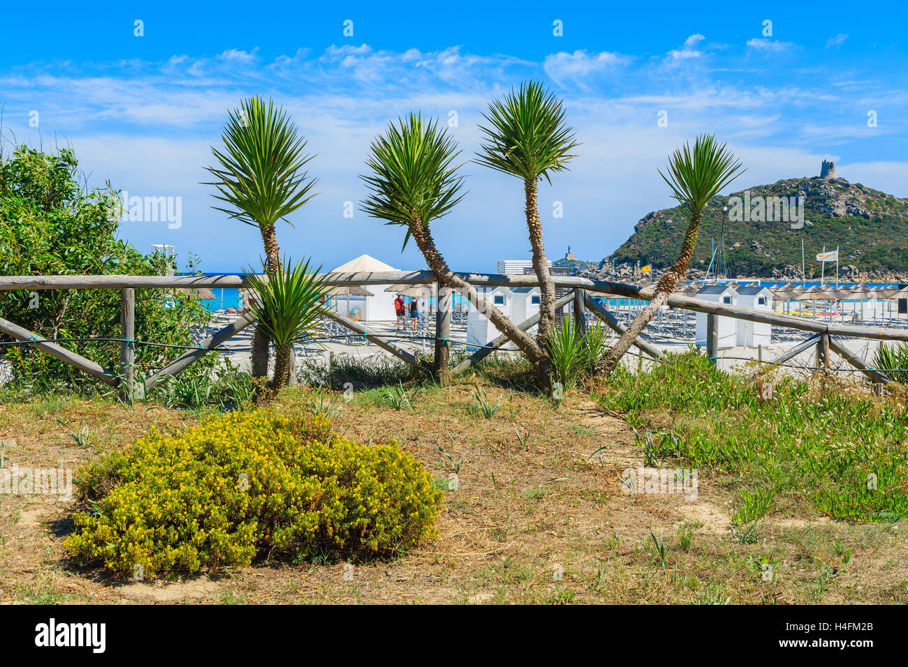 Palmen und Blumen am Strand von Porto Giunco, Insel Sardinien, Italien Stockfoto