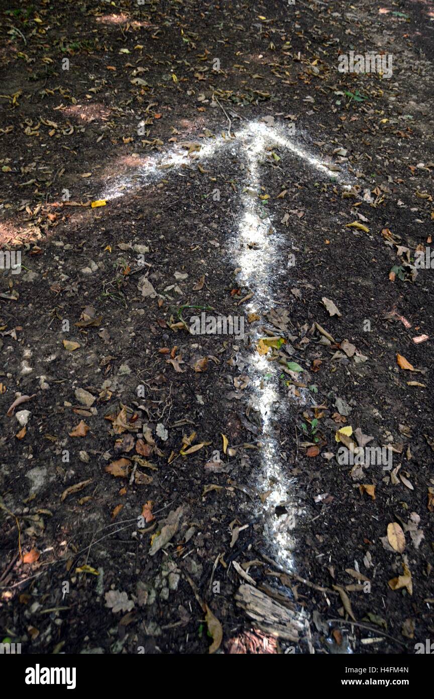 Weißer Pfeil auf den Boden auf einem Pfad von einem Holz gemalt. Stockfoto