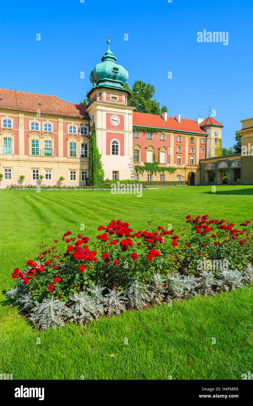 Rote Rosen im Garten von Schloss Łańcut an sonnigen Sommertag, Polen Stockfoto