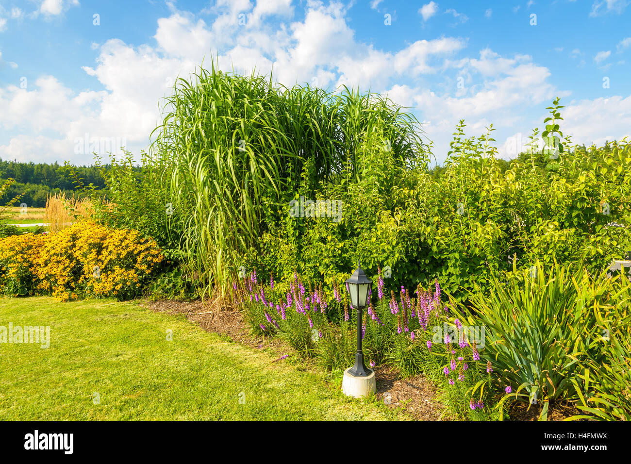 Laternenlicht in einem Garten auf sonnigen Sommertag, ländlichen Gegend von Polen Stockfoto