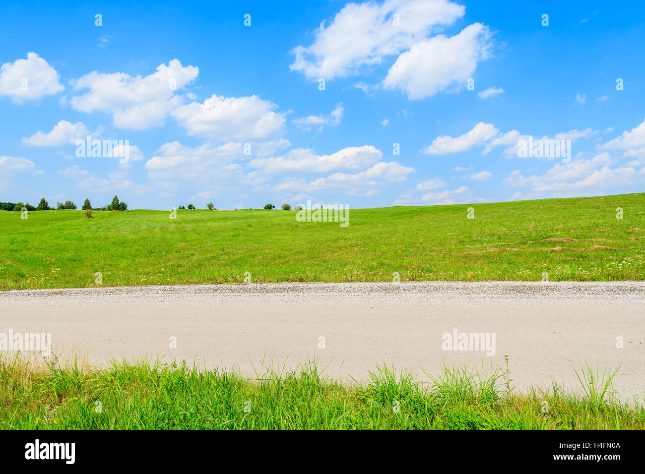 Straße in grünen Wiesen mit weißen Wolken auf sonnigen blauen Himmel, Polen Stockfoto