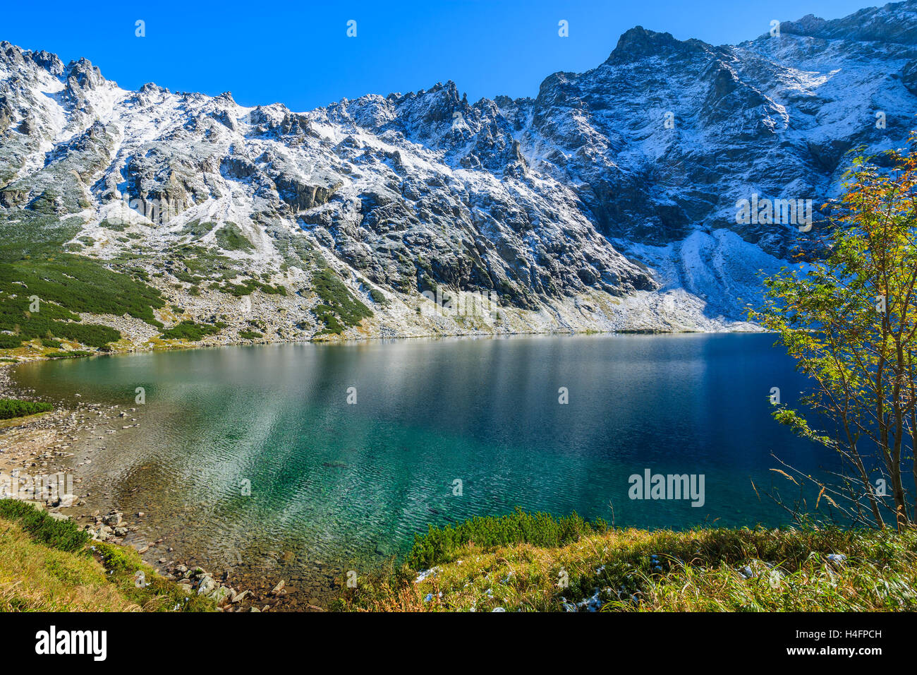 Czarny Staw Alpensee in herbstlichen Farben, hohen Tatra, Polen Stockfoto