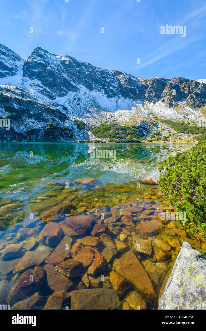 Grünes Wasser Bergsee im Gasienicowa Tal, hohen Tatra, Polen Stockfoto