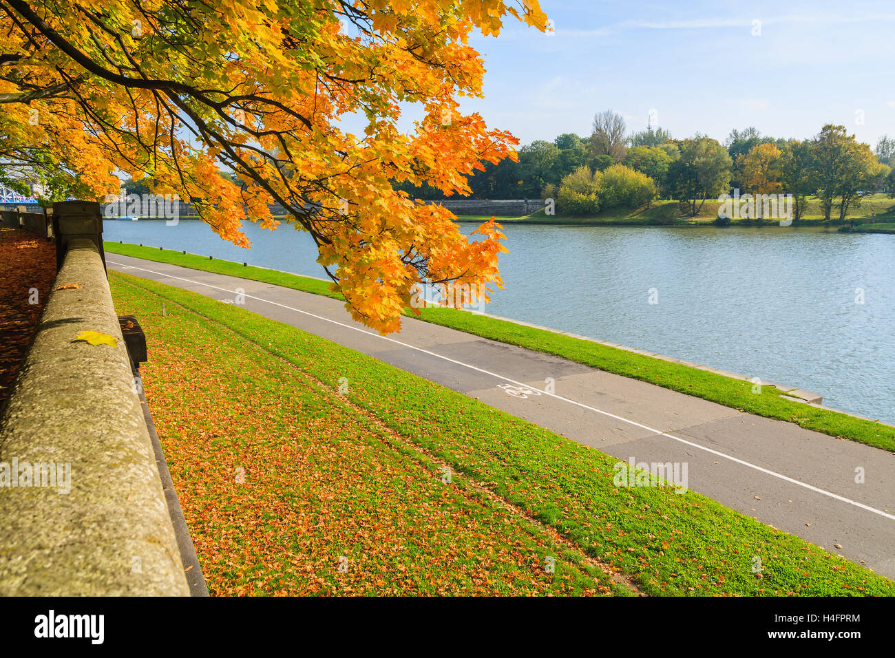 Gelbe Blätter am Baum auf Promenade entlang der Weichsel in Krakau an sonnigen Herbsttag, Polen Stockfoto