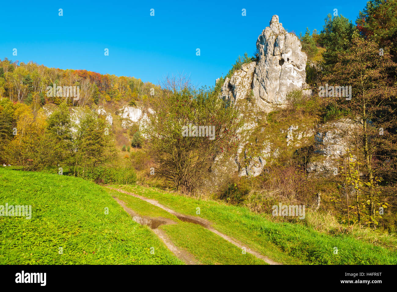 Landstraße im Kobylanska-Tal während der Herbstsaison in der Nähe von Krakau, Polen Stockfoto