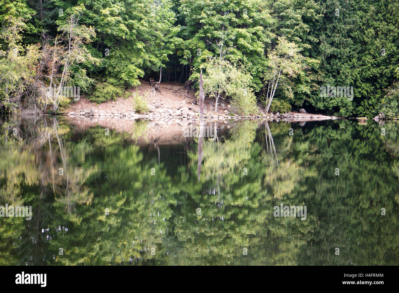 Wasser See Spiegelung des Waldes und der Bäume auf Vancouver Island Stockfoto