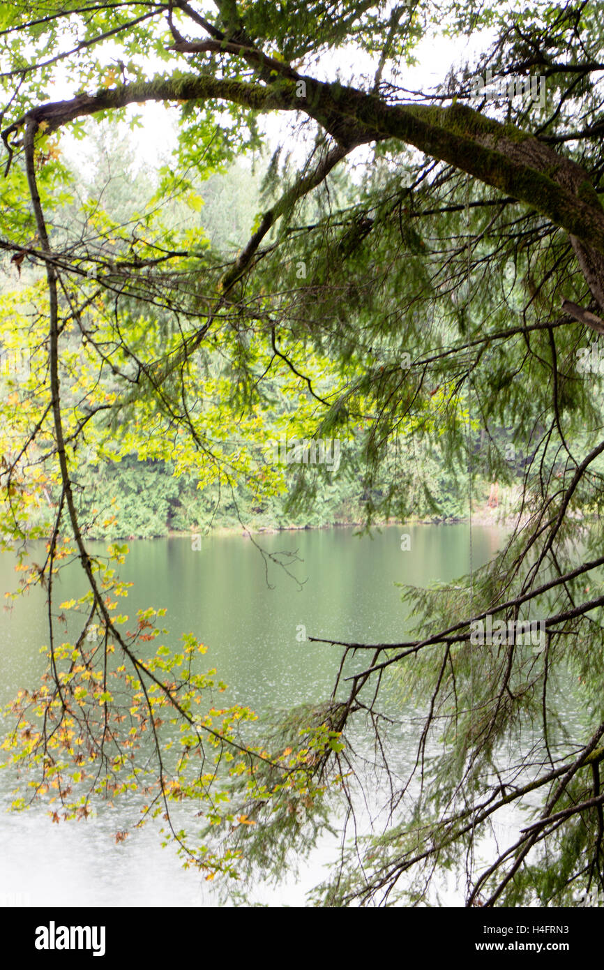 AST umrahmen den See auf Vancouver Island Stockfoto