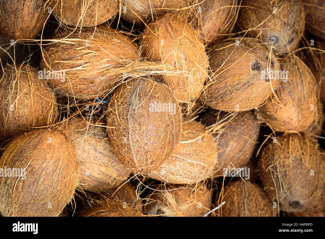 Kokosnüsse in ein outdoor-Markt in Catania, Sizilien Stockfoto