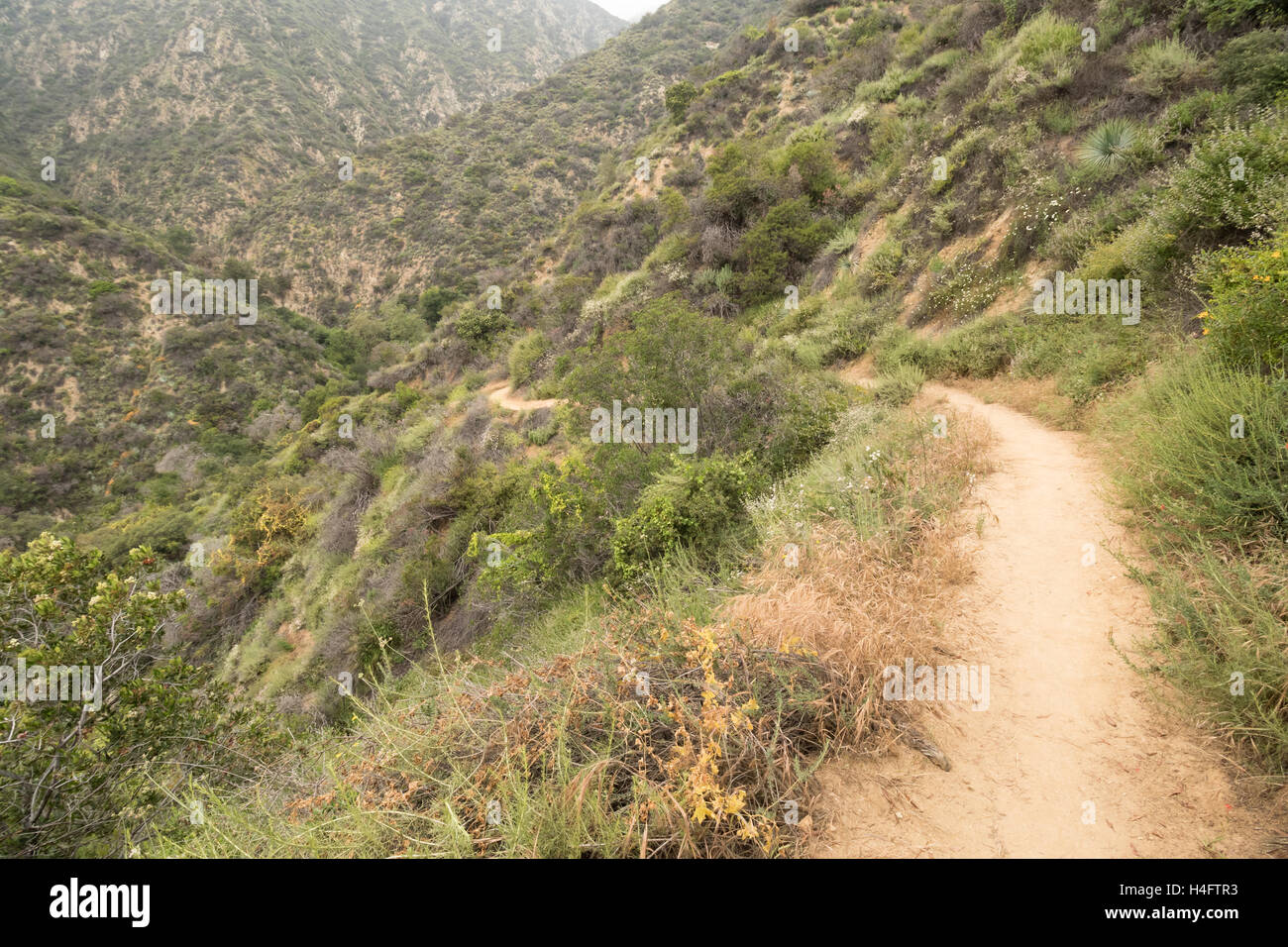 Schmutz-Trail Liquidation Bailey Canyon in der Bergkette der Sierra Madre Stockfoto