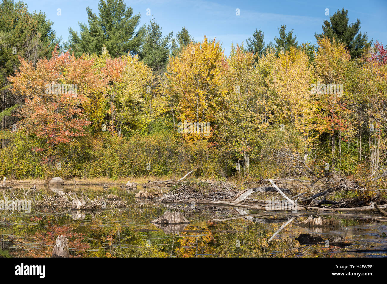 Ein sonniger Herbsttag in Kanada Stockfoto
