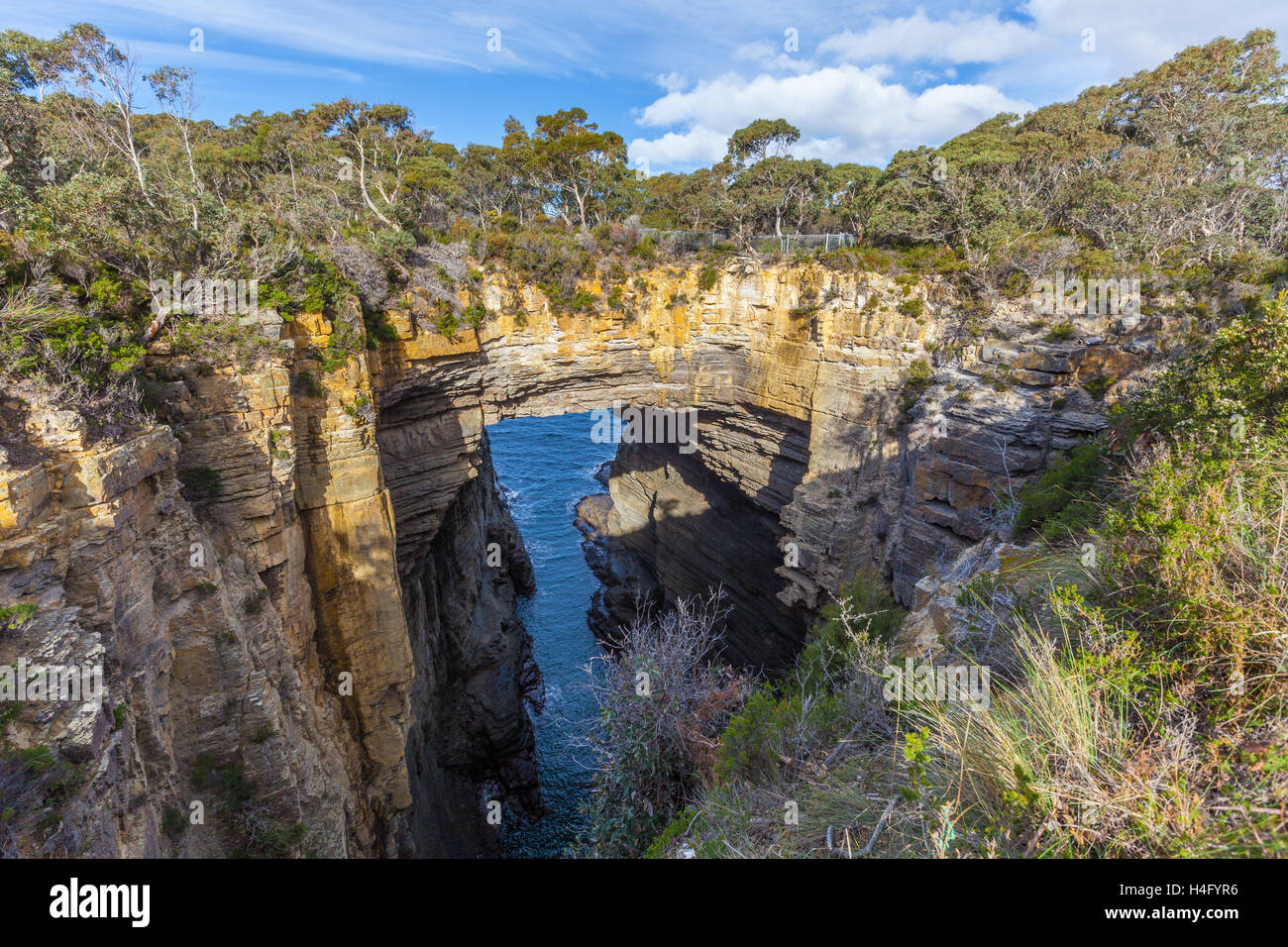 Tasman Arch, Tasman National Park, Tasmanien, Australien Stockfoto