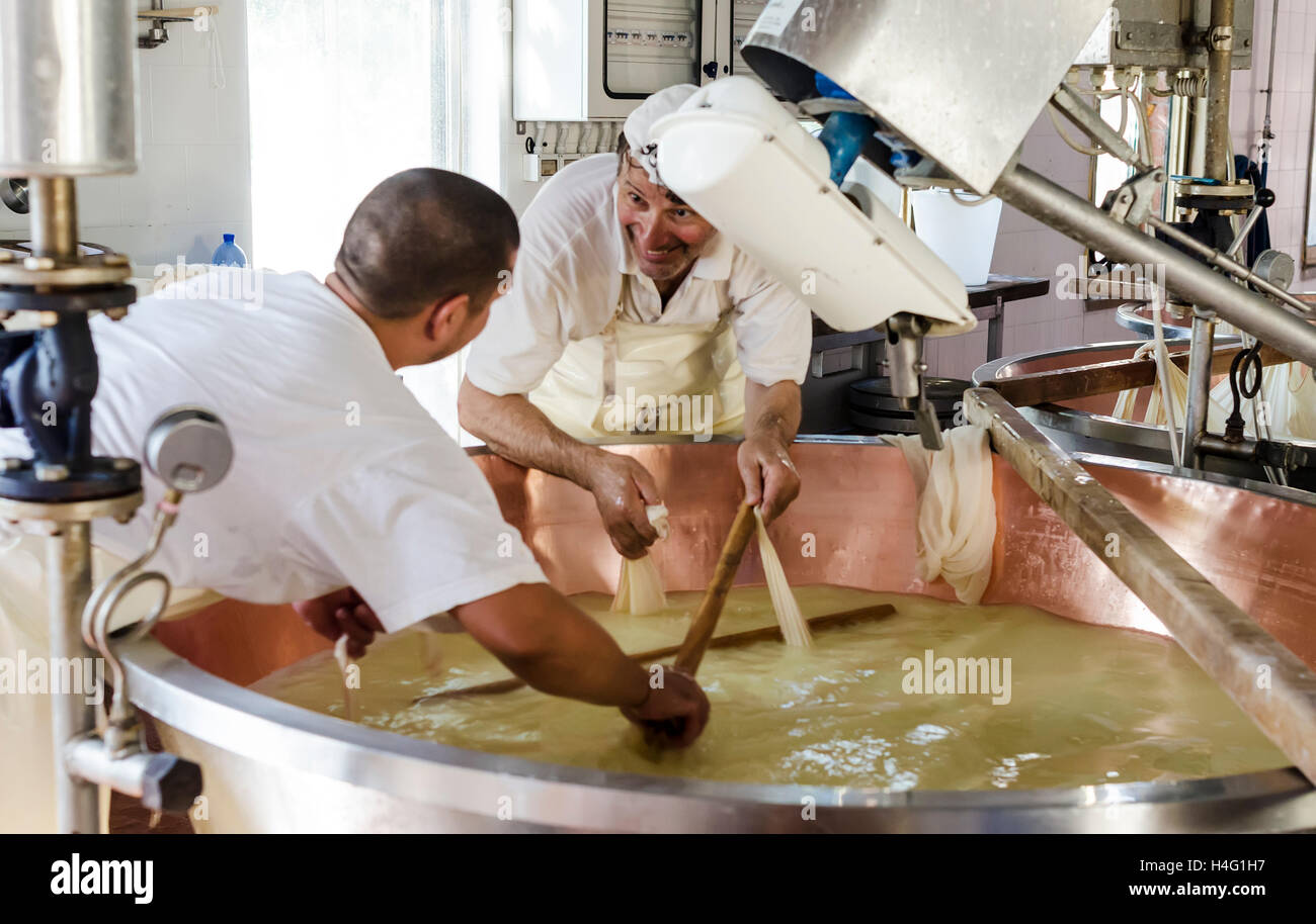 Herstellung von Parmigiano Reggiano Stockfoto