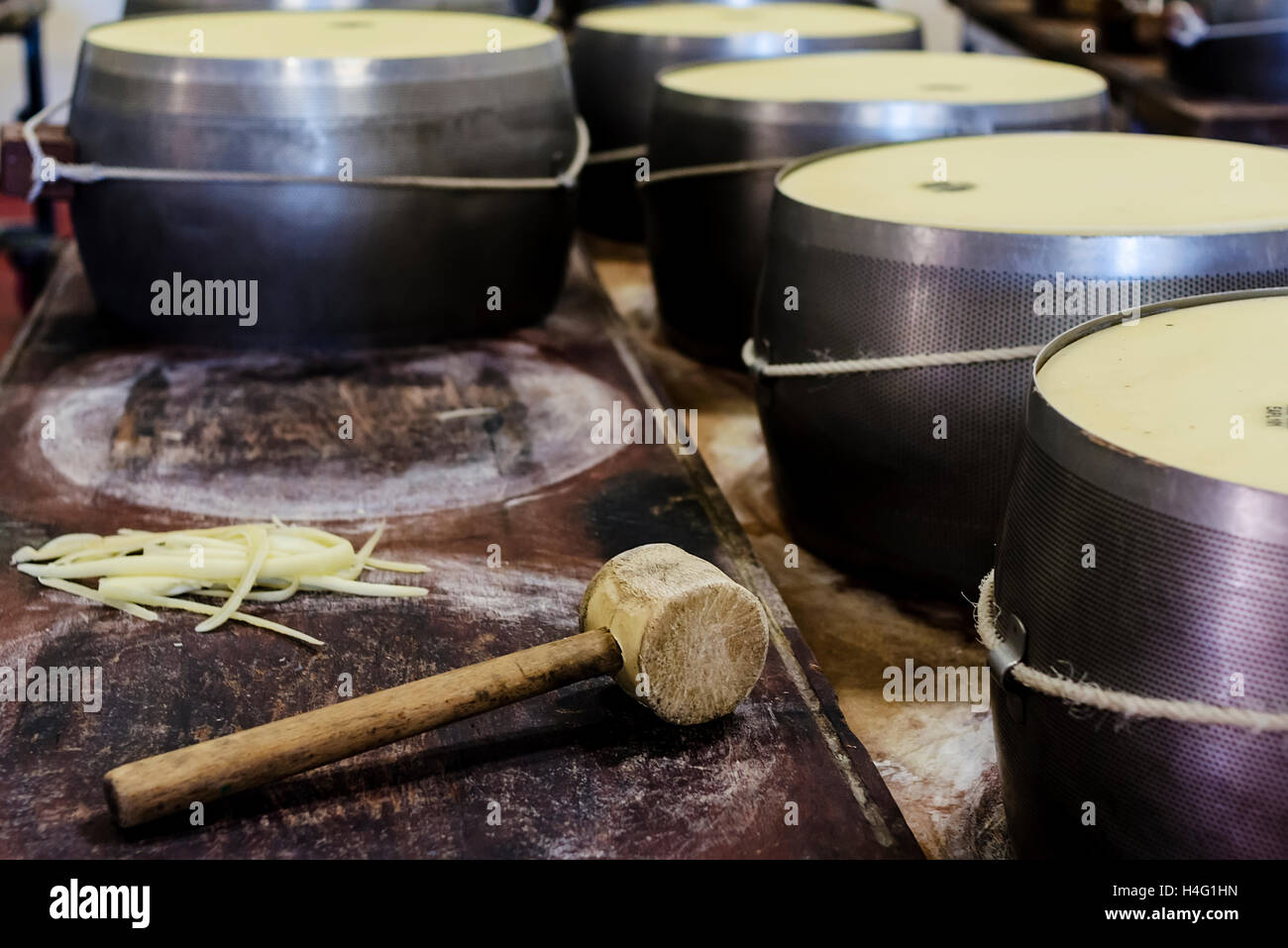 Herstellung von Parmigiano Reggiano Stockfoto