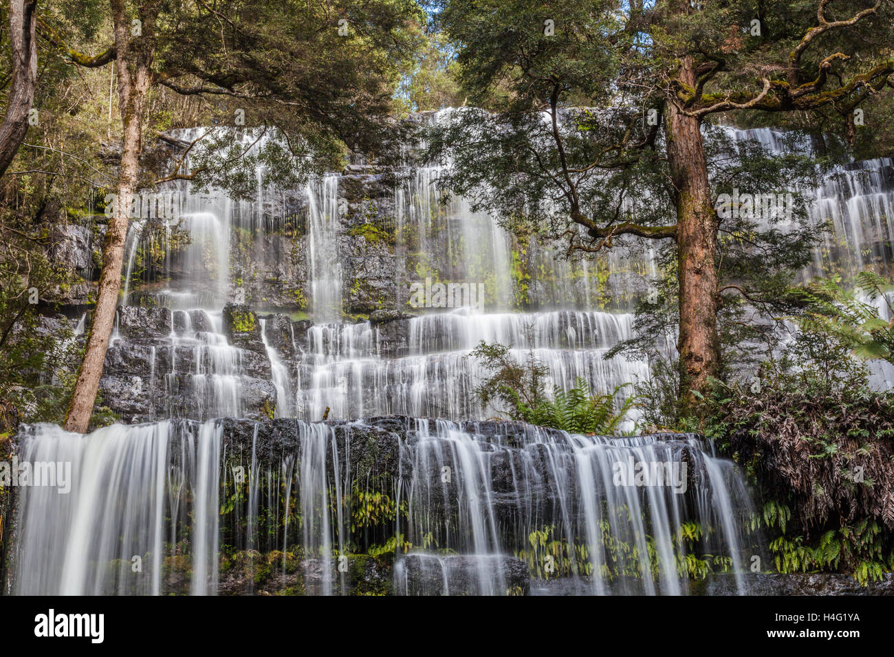 Famous Russel Falls Nahaufnahme. Mount Field National Park, Tasmanien, Australien Stockfoto