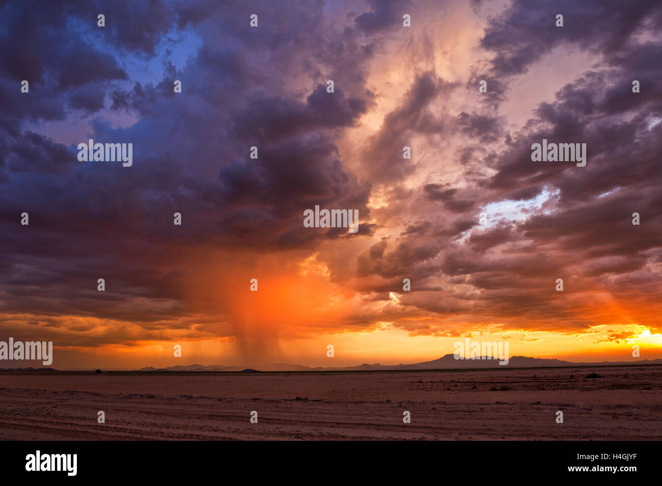 Sonnenuntergang in der Wüste von Arizona hinter einem Monsunsturm Stockfoto