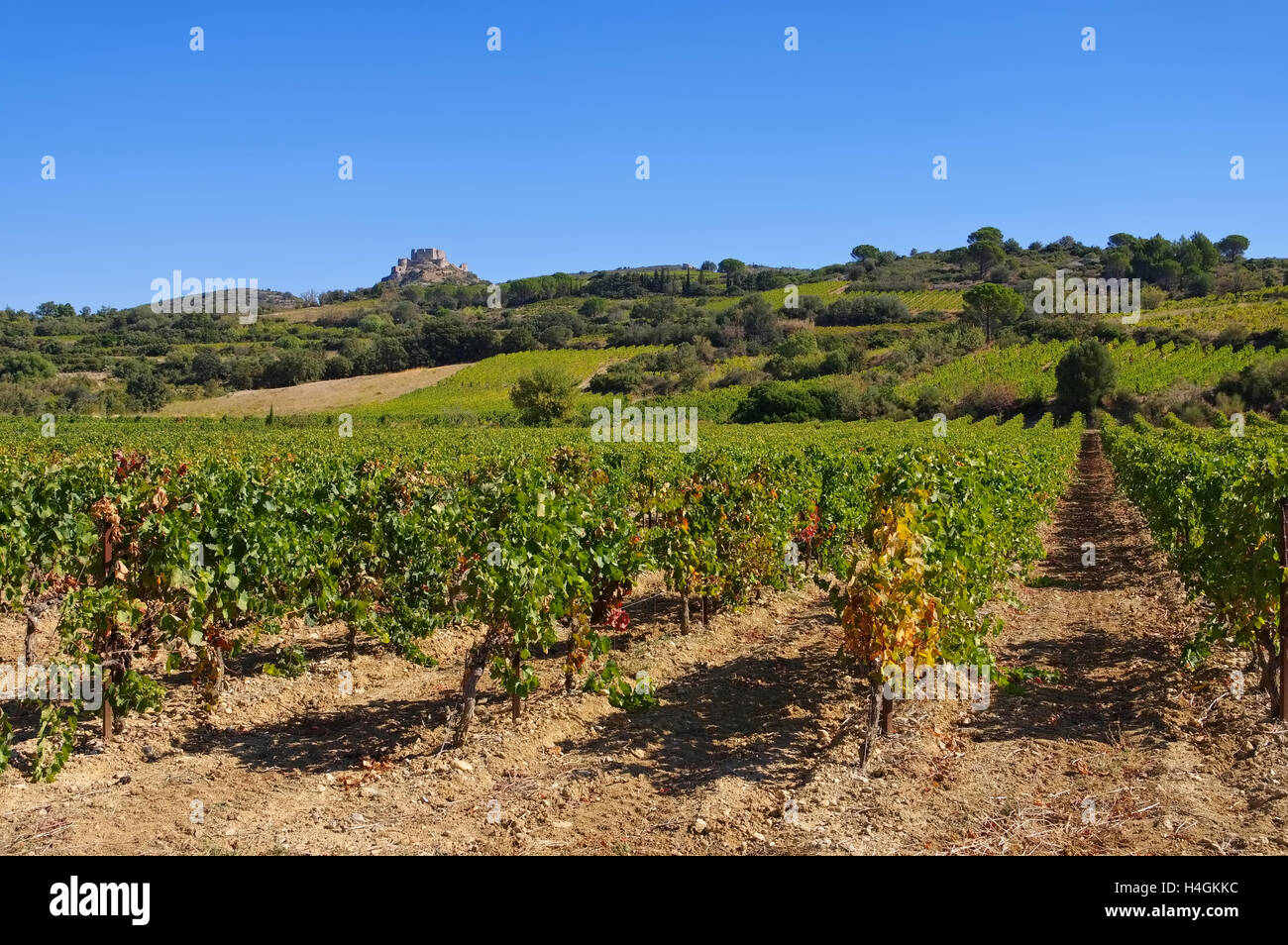 Burg Aguilar Im Süden Frankreichs - Cathare Burg Aguilar in Südfrankreich Stockfoto