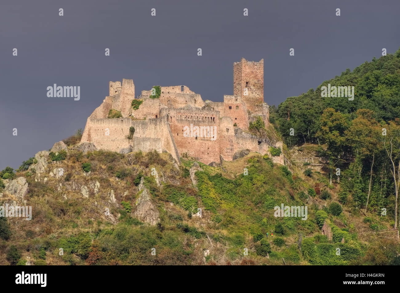 Ribeauvillé Ulrichsburg Im Elsass - Mittagsmenue, das Schloss Saint-Ulrich im Elsass/Frankreich Stockfoto