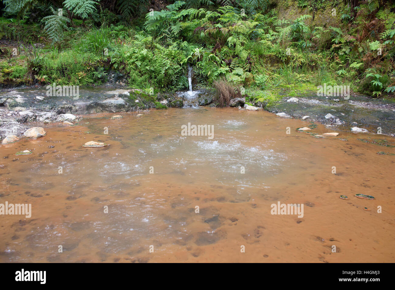 Quelle mit eisenhaltigen Wasser auf der Insel Sao Miguel, Azoren Stockfoto