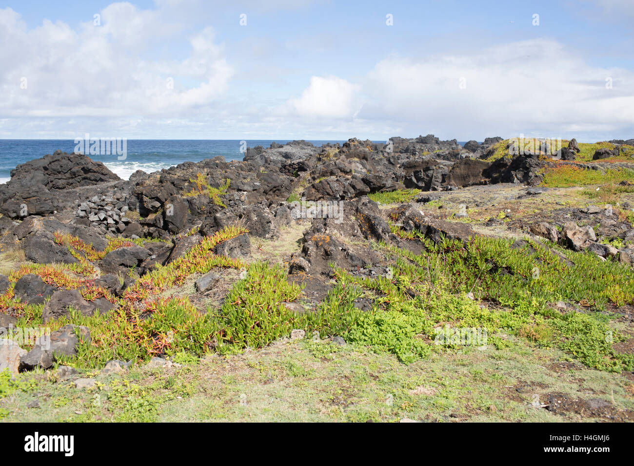 Lavafeld auf der atlantischen Küste auf der Insel São Miguel, Azoren Stockfoto