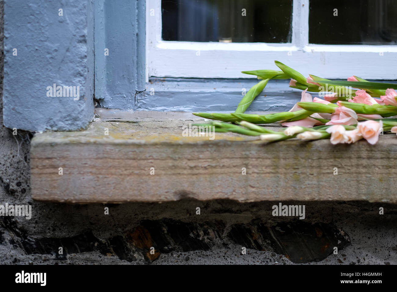 Blumen auf einer Fensterbank eines englischen Landhauses manor Stockfoto