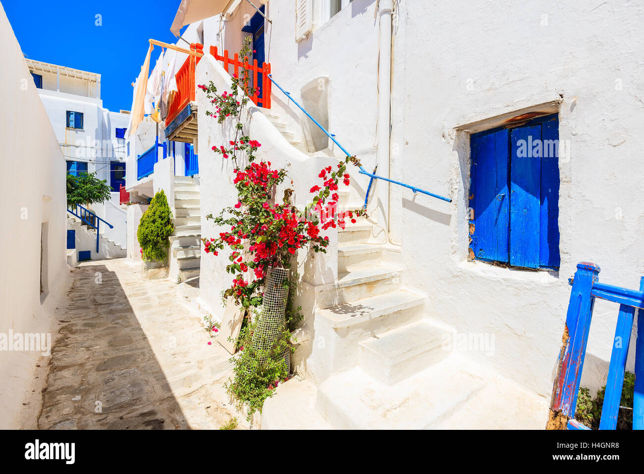 Ein Blick auf weiß getünchten Straße mit blauen Fenstern und Blumen in schönen Stadt Mykonos, Kykladen, Griechenland Stockfoto