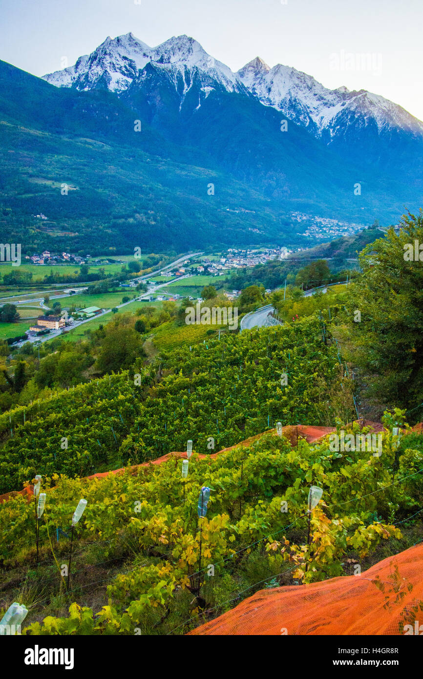 Blick vom Bio- und biodynamischen Weingut Les Granges bei Nus & Fenis, Blick nach Westen in Richtung Nus, Aostatal in Italien. Stockfoto