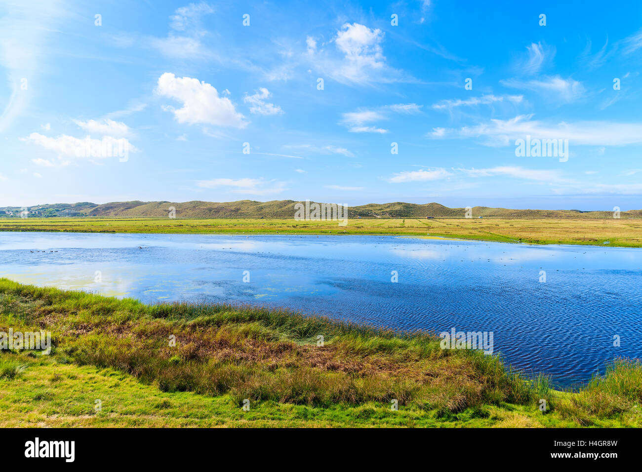 See und grüne Wiese auf der nördlichen Küste von Sylt Insel nahe Liste Hafen, Deutschland Stockfoto