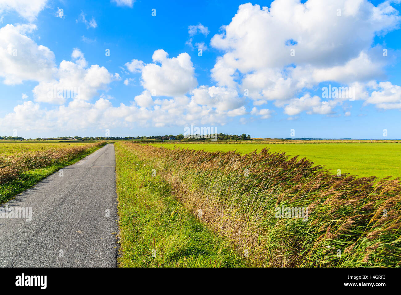 Ländliche Radweg entlang grün landwirtschaftliche Felder in Landschaft Sylt Insel in der Nähe von Dorf Keitum, Deutschland Stockfoto