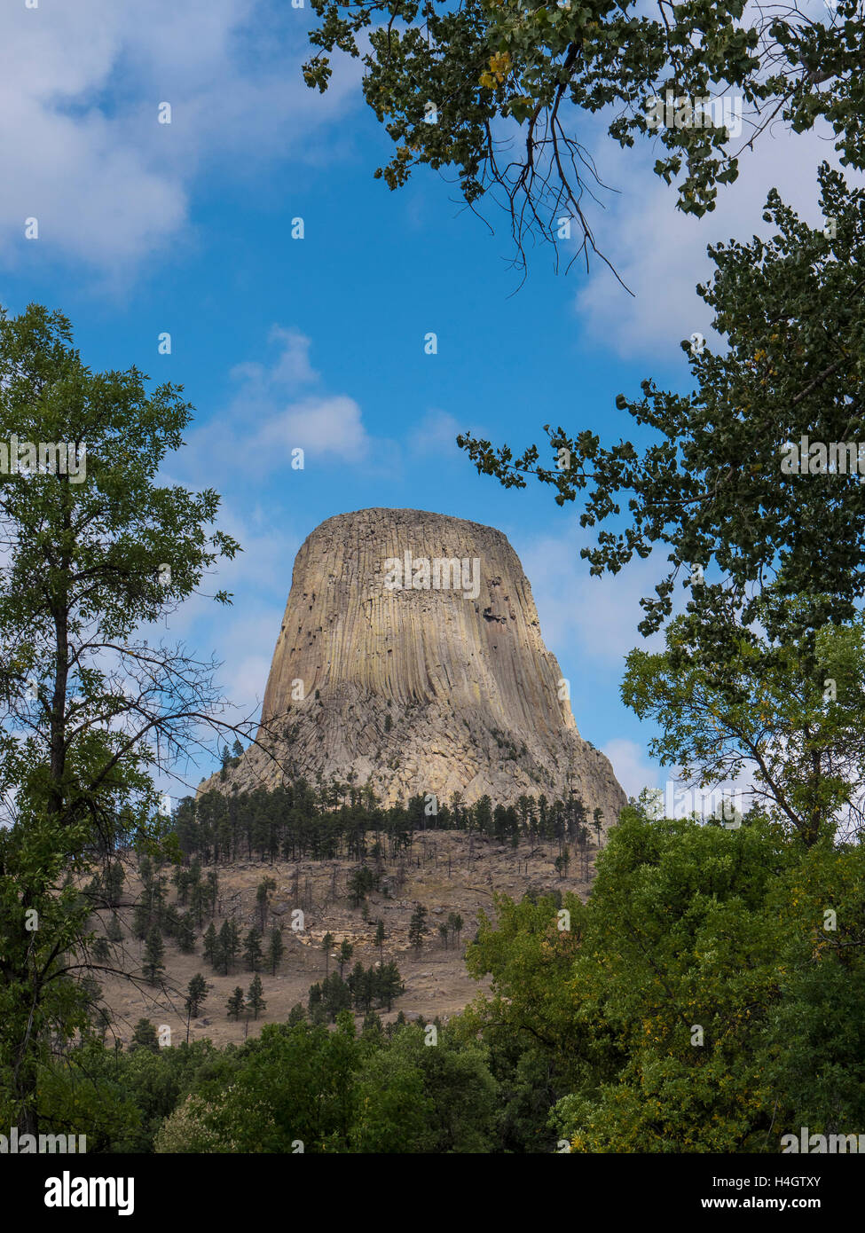 Des Teufels Turm vom Belle Fourche River Campground, Teufels Tower National Monument, Wyoming. Stockfoto