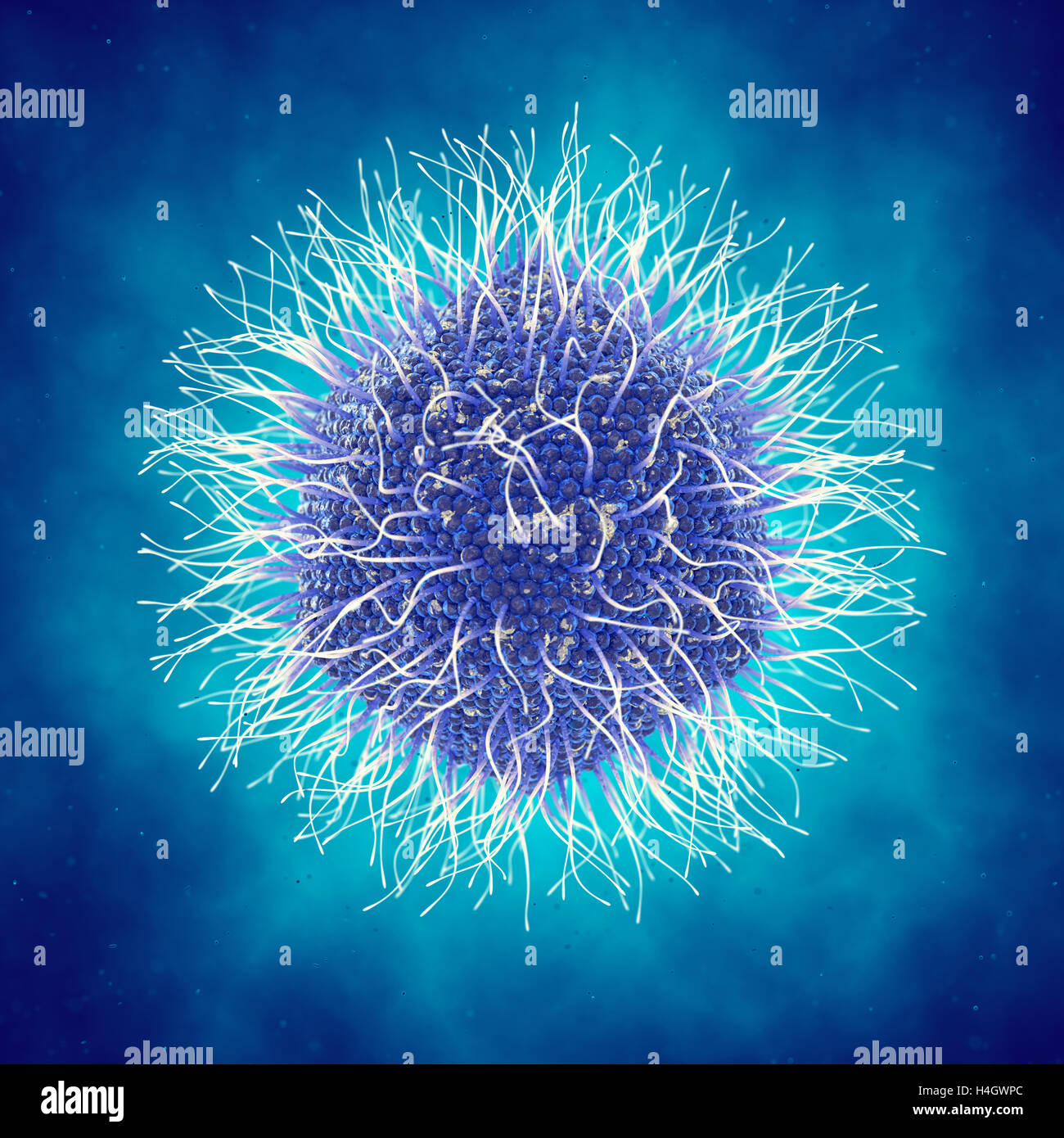 Virus, Virus-Erkrankung, Keim Infektionen, Mimivirus Stockfoto