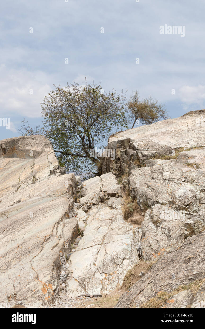 Felsen und Baum in den Augen des Saksaywaman in der Nähe von Cusco, Peru Stockfoto