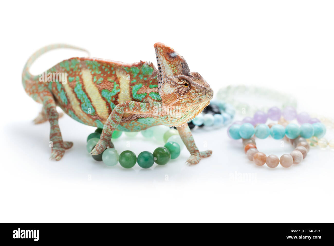 Schönen Chamäleon mit natürlichen Stein Armbänder Stockfoto