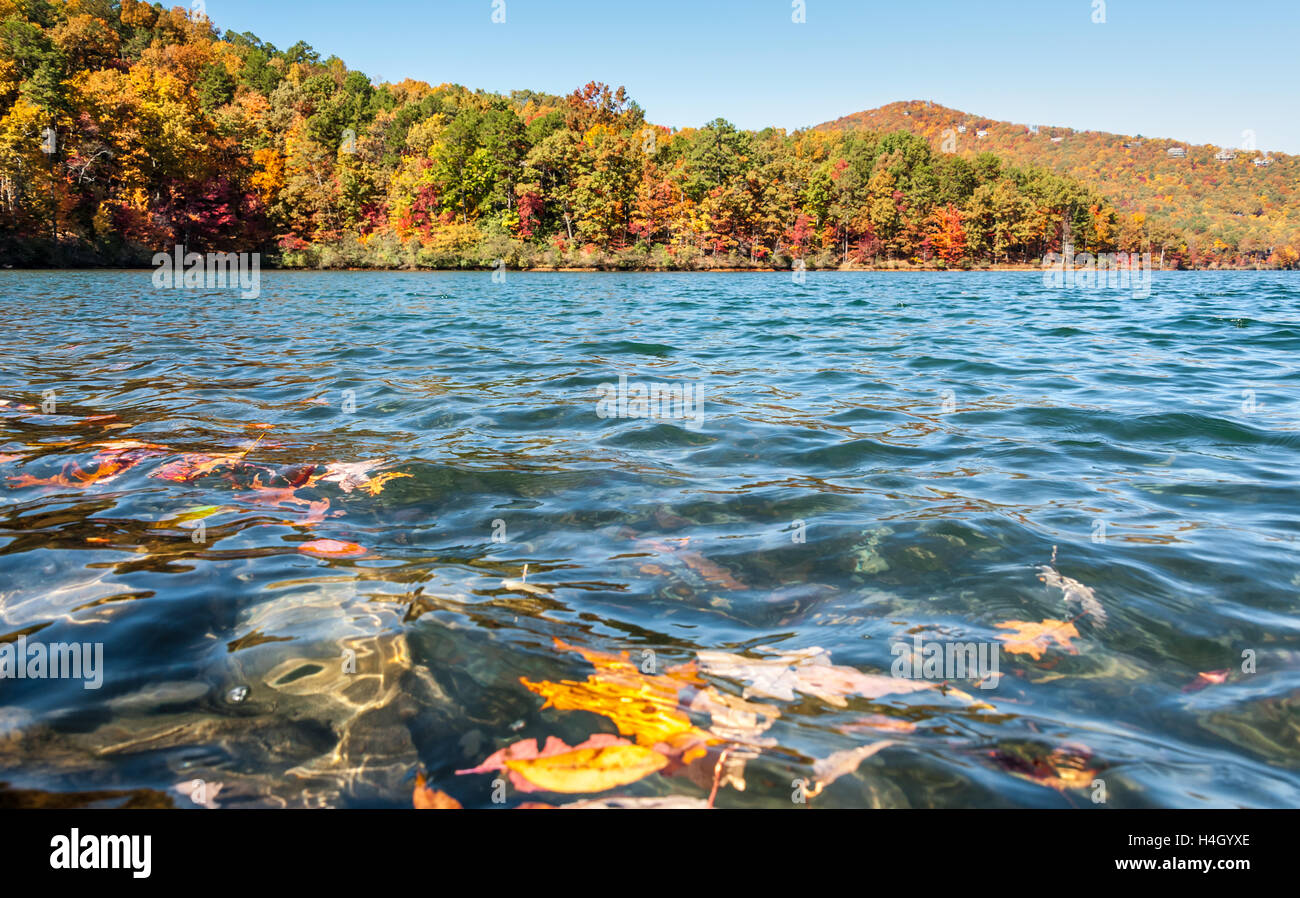 Herbstfarbe malt die Ausläufern der Blue Ridge Mountains bei großen Kanu in North Georgia, USA. Stockfoto