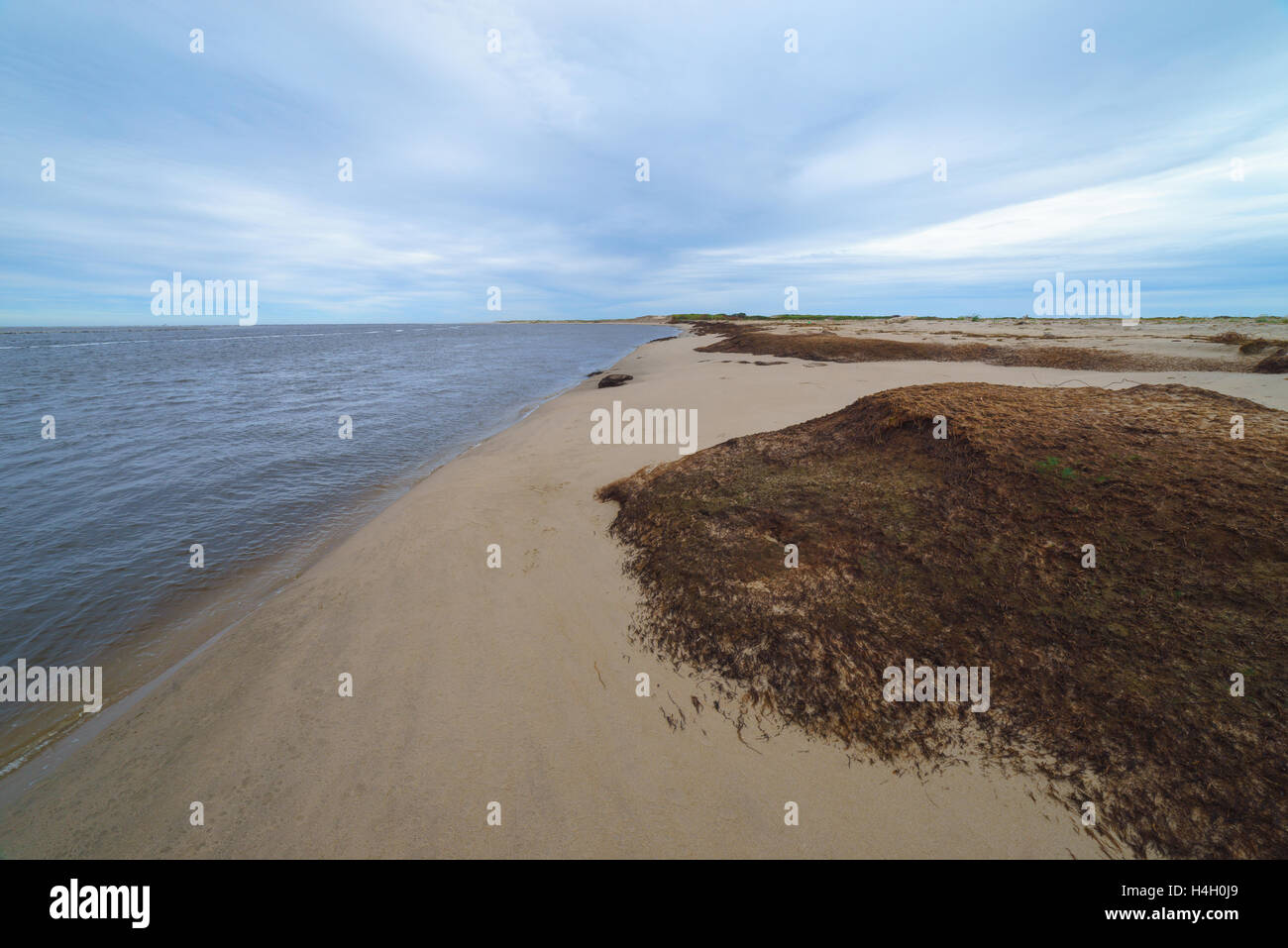 Natürlichen Torf Stücke am Meeresufer, Sachalin, Russland. Stockfoto