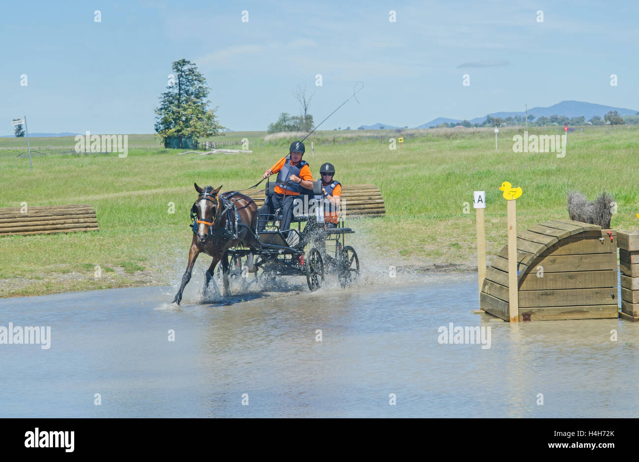 Eingabe der Wassergefahr atT er Pferd Fahrversuchen Club (Australien) Marathon Event Stockfoto