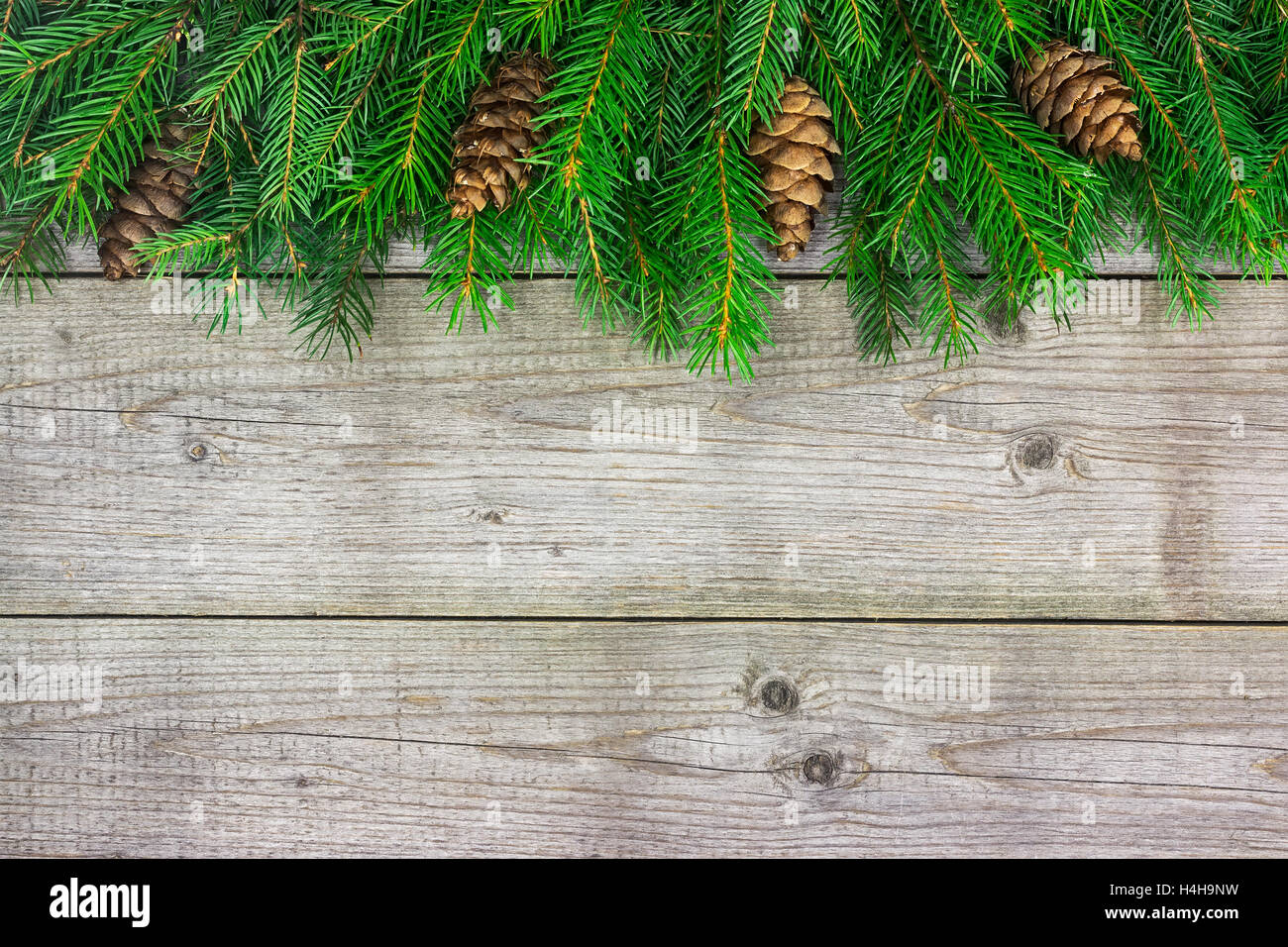 Tanne Baum Zweig Weihnachtsschmuck mit Konus auf hölzernen Hintergrund Stockfoto