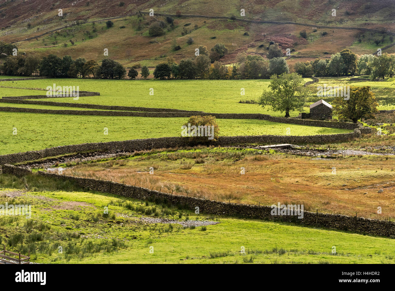 Langdale Tal Stockfoto