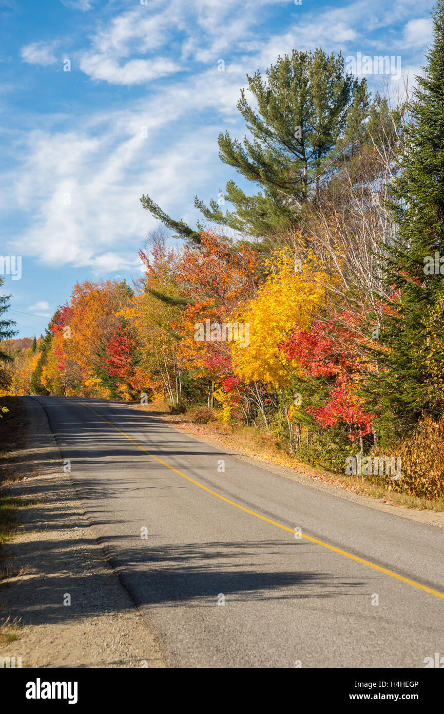 Herbstlaub - Bäume im Herbst Farben entlang der Straße, in der Nähe von Nürnberg, Laurentides. Stockfoto