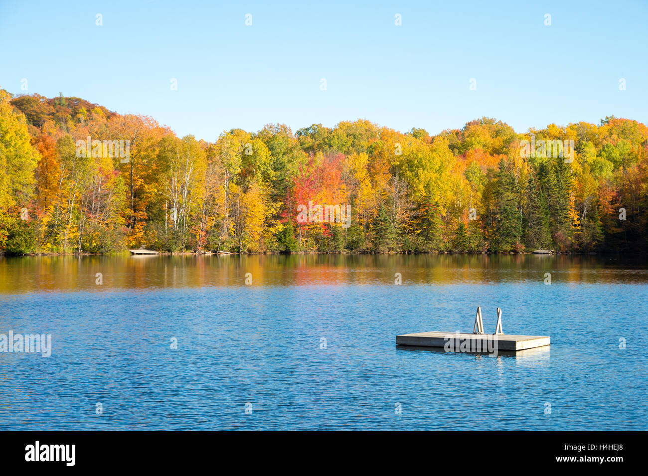 Herbst Farben in Quebec, Kanada (Saint-Hippolyte, Laurentides) Stockfoto