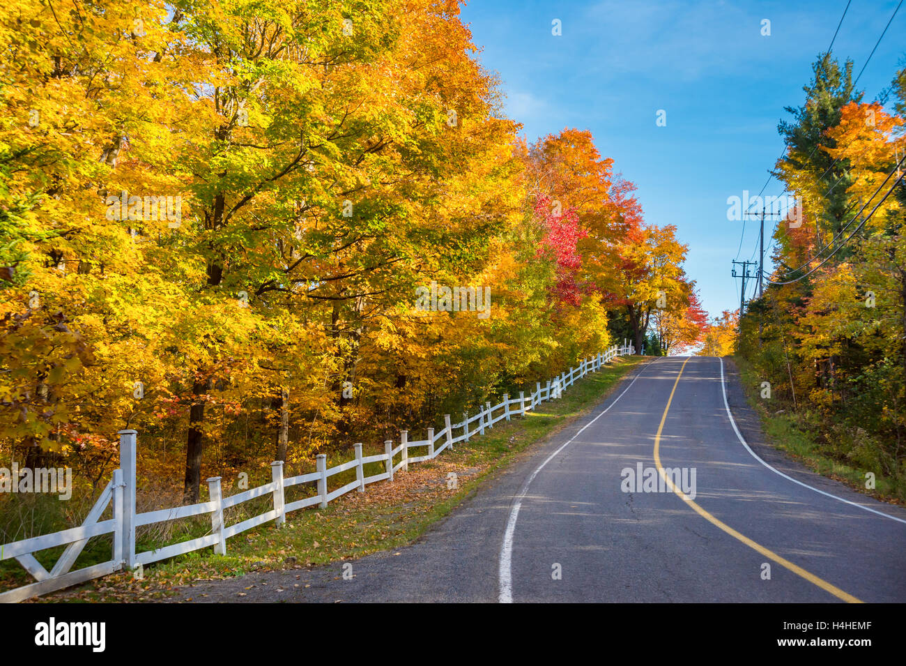 Bäume im Herbst Farben entlang der Straße, in der Nähe von Nürnberg, Laurentides. Stockfoto