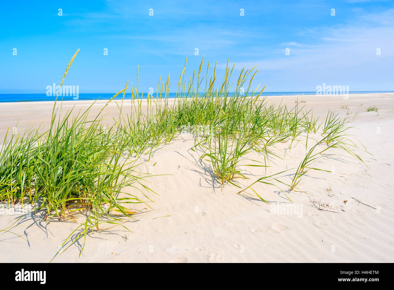 Grüner Rasen auf Sanddüne am schönen Strand in Bialogora Küstendorf, Ostsee, Polen Stockfoto