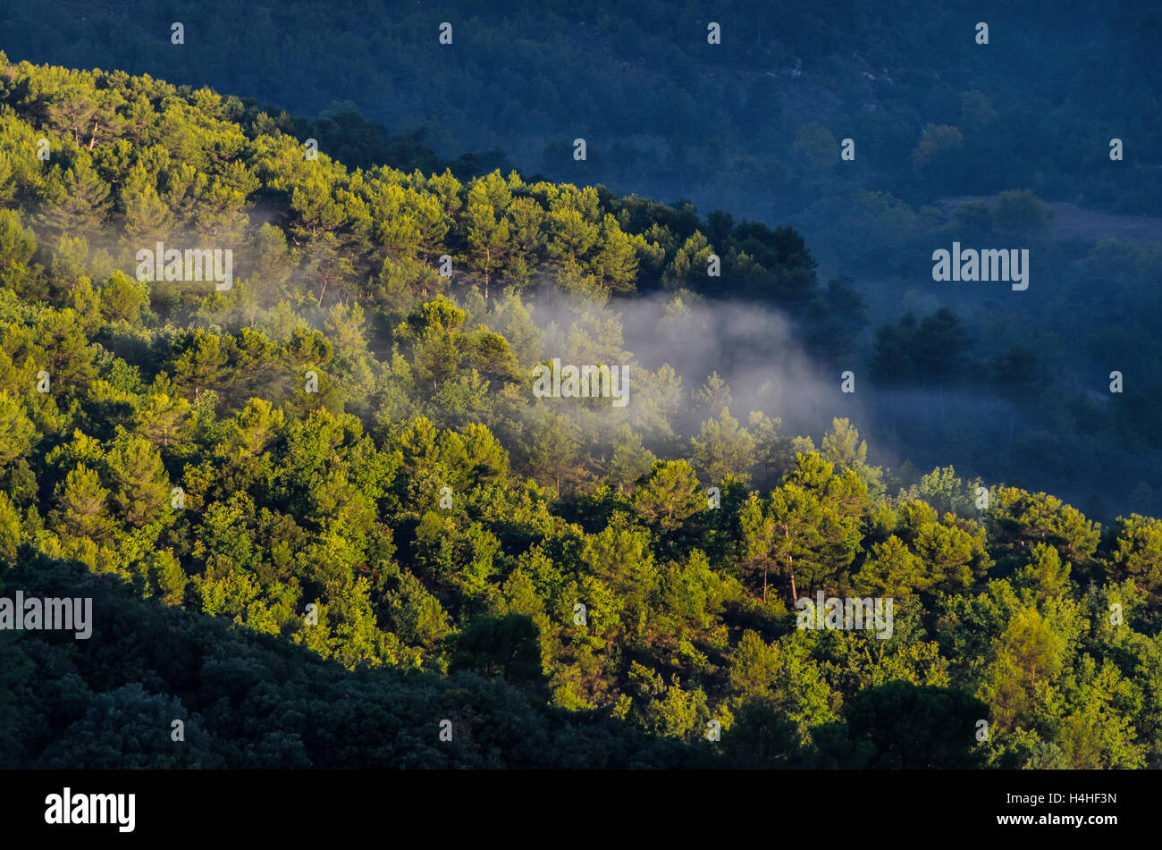 Schloss de la baume Fotos und Bildmaterial in hoher Auflösung Alamy
