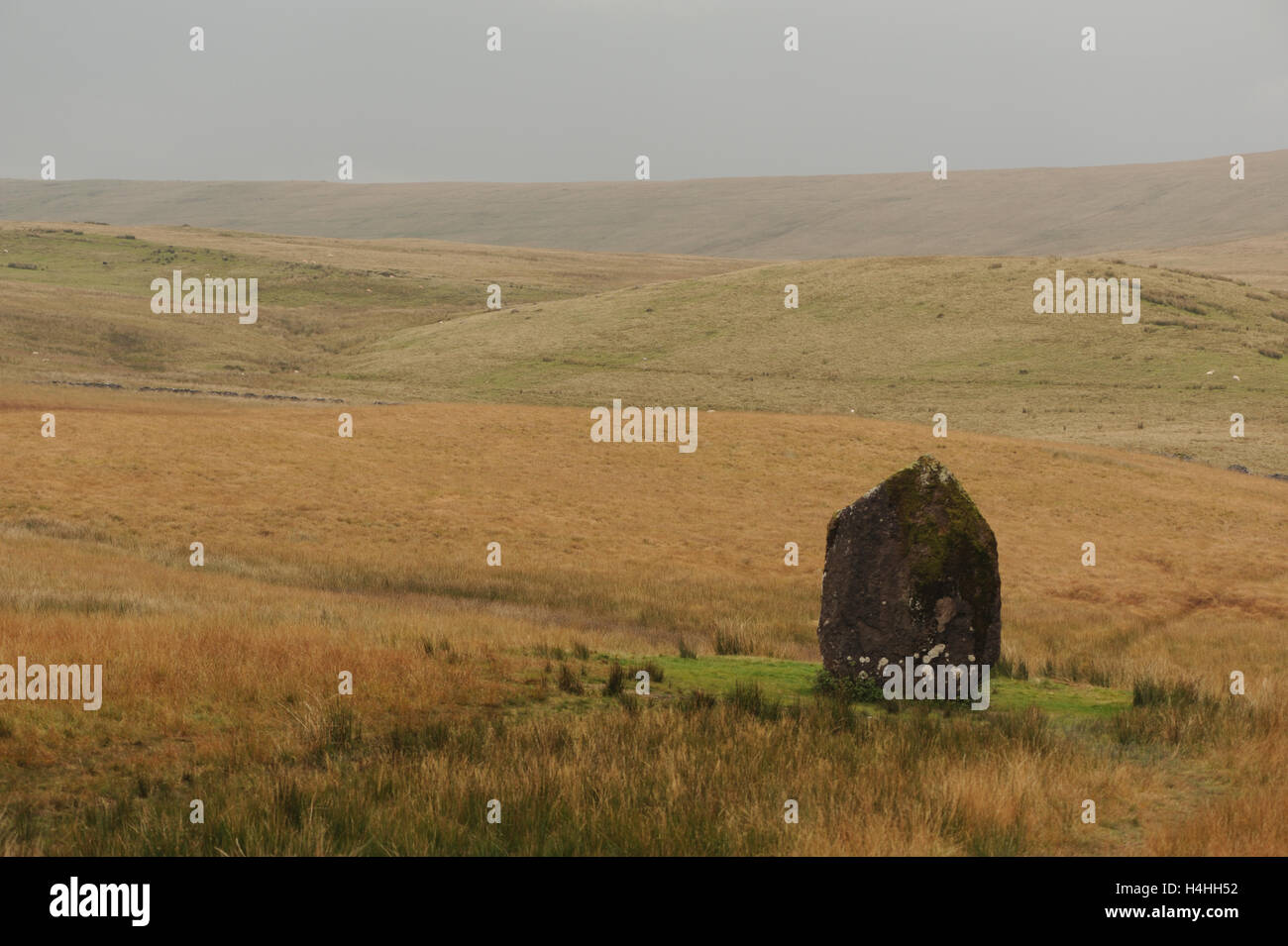 Ein stehender Stein, bekannt als Maen Llia auf Moorland in den Brecon Beacons National Park.  Heol Senni und Brecon, Powys, Wales. Stockfoto