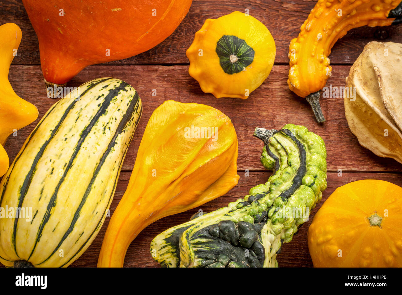 Kürbis und Kürbis Sammlung gegen rustikale rot lackierten Scheune Holz Stockfoto