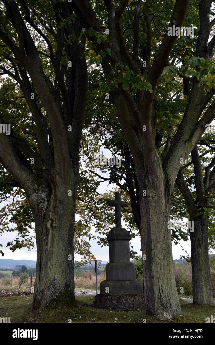 Cross-Aufstieg auf einem blauen Steinsockel zwischen zwei alten Eichen. Stockfoto
